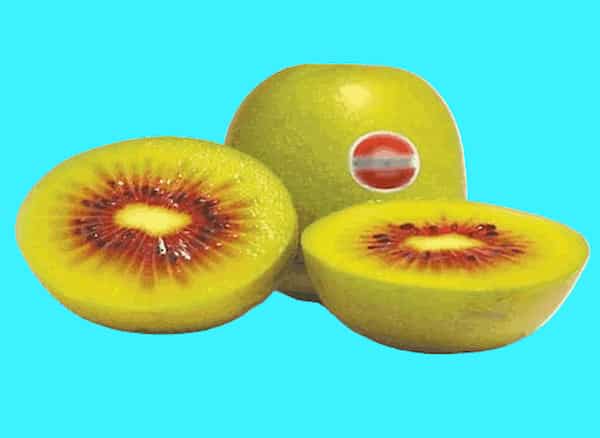 تصویر 2 از خرید کیوی قرمز چالوس + قیمت فروش استثنایی